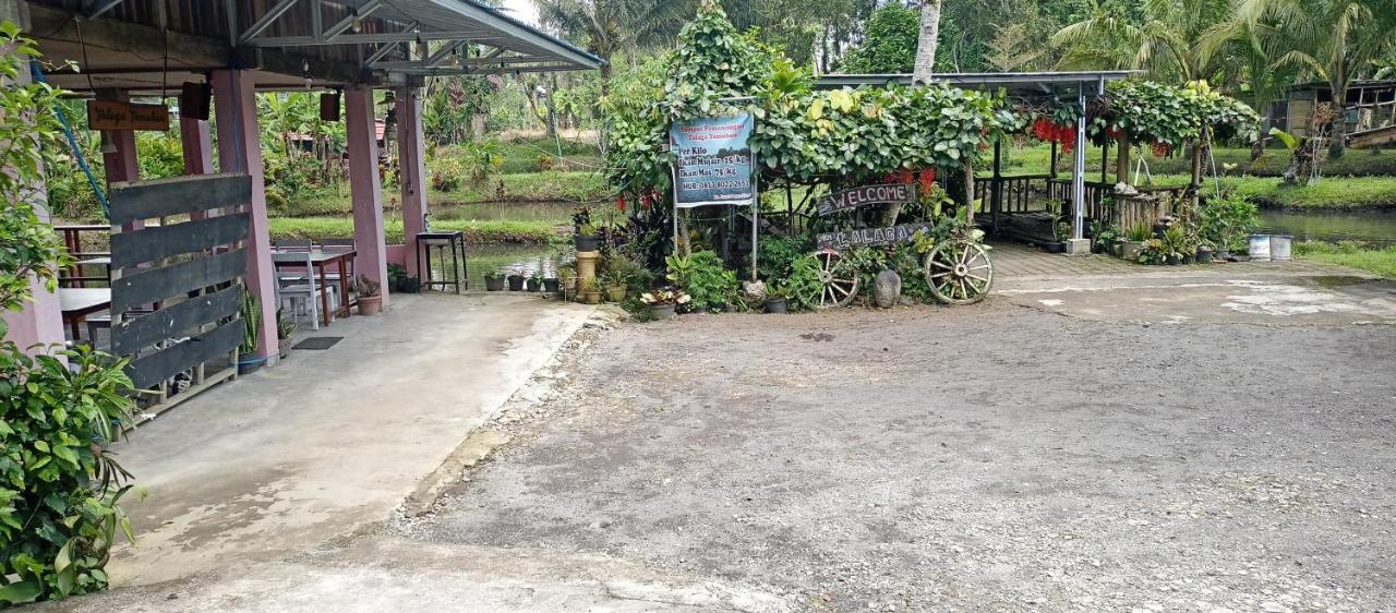 Talaga Tomohon Home Stay And Fishing Pond Eksteriør billede