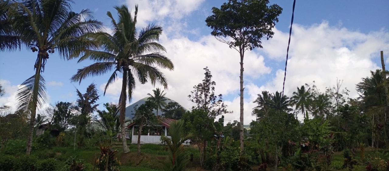 Talaga Tomohon Home Stay And Fishing Pond Eksteriør billede