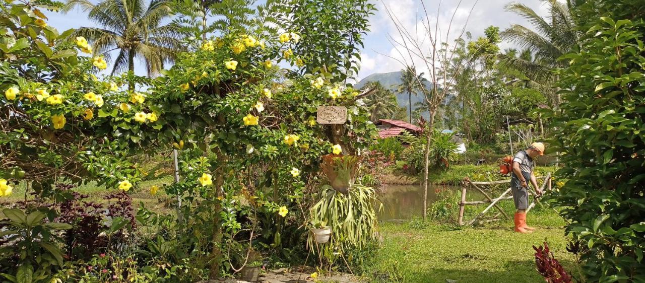 Talaga Tomohon Home Stay And Fishing Pond Eksteriør billede