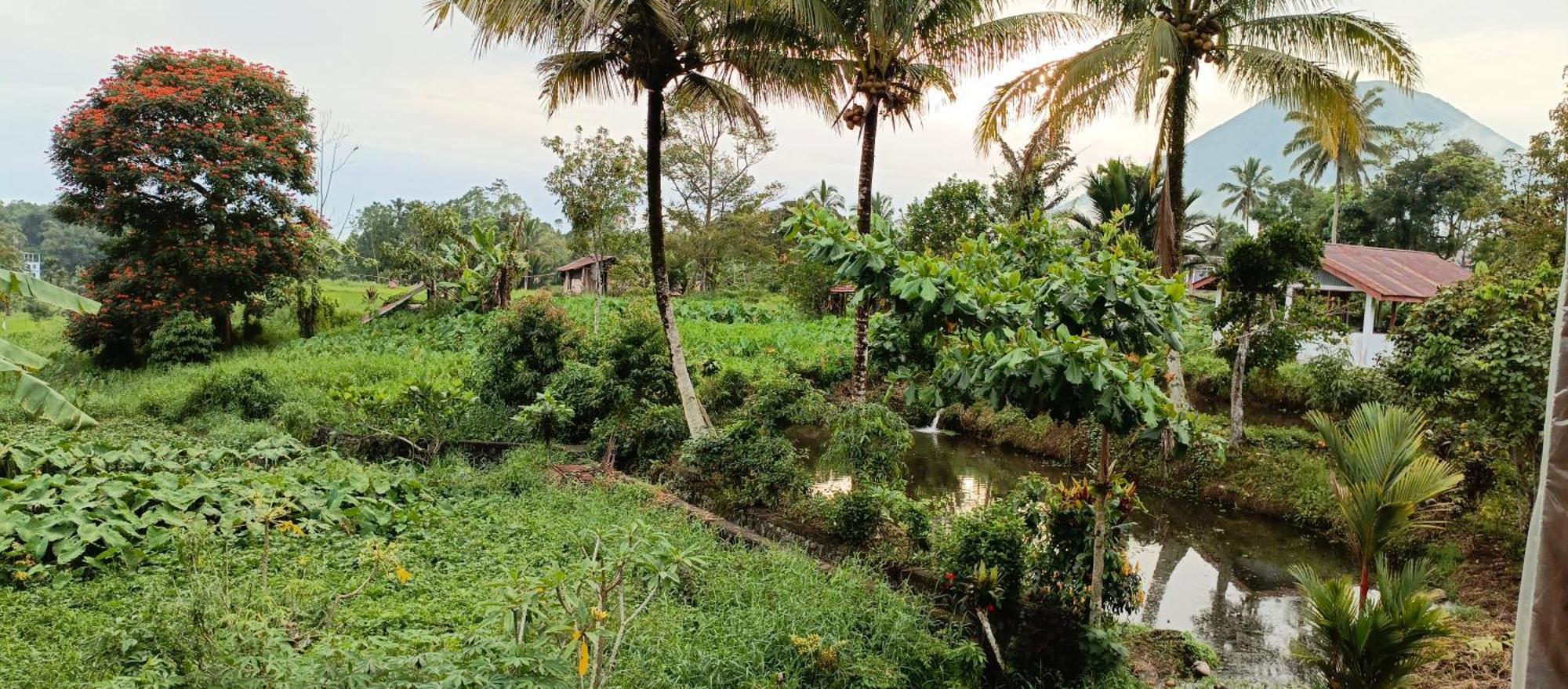 Talaga Tomohon Home Stay And Fishing Pond Eksteriør billede