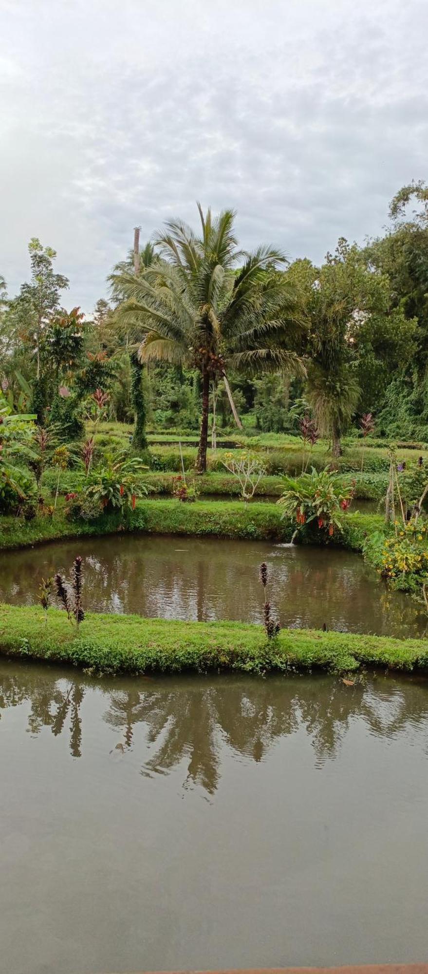 Talaga Tomohon Home Stay And Fishing Pond Eksteriør billede