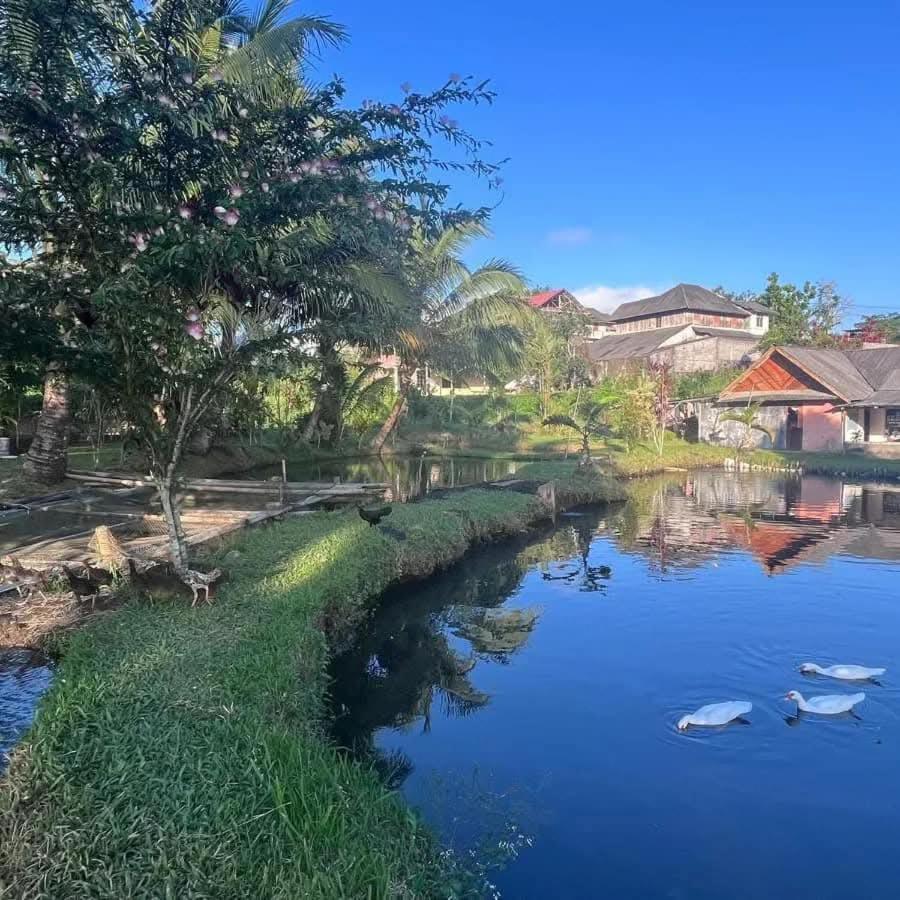 Talaga Tomohon Home Stay And Fishing Pond Eksteriør billede