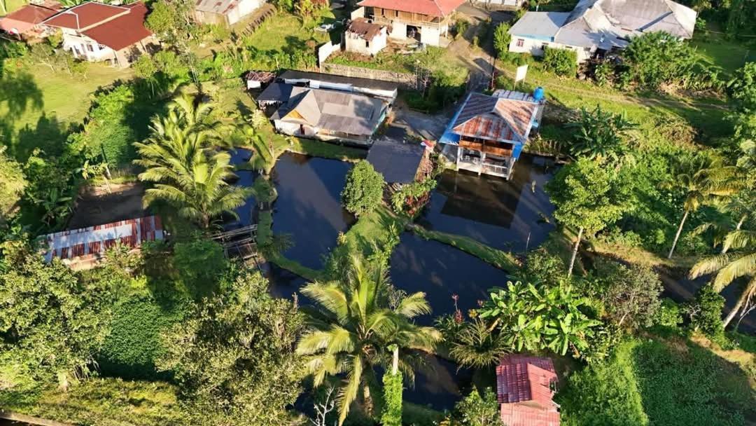 Talaga Tomohon Home Stay And Fishing Pond Eksteriør billede